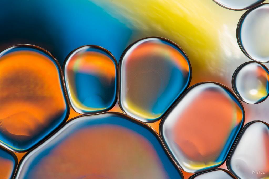 IMAGE: http://i23.photobucket.com/albums/b397/nan3182/Oil%20and%20Water/IMG_7655_zpse48ed2c2.jpg