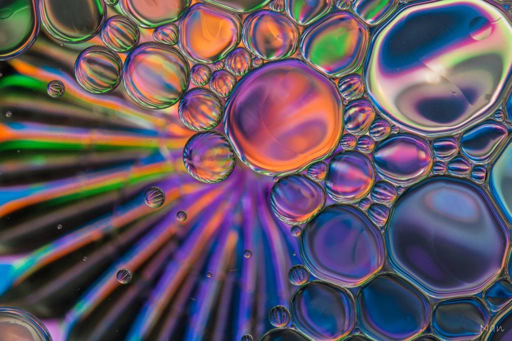 IMAGE: http://i23.photobucket.com/albums/b397/nan3182/Oil%20and%20Water/IMG_7712_zpsf6f89b32.jpg