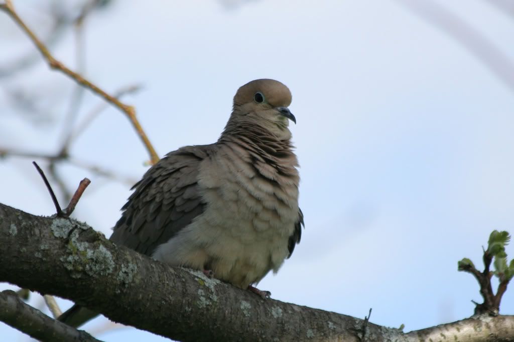 IMAGE: http://i23.photobucket.com/albums/b397/nan3182/Random/IMG_2679-a.jpg