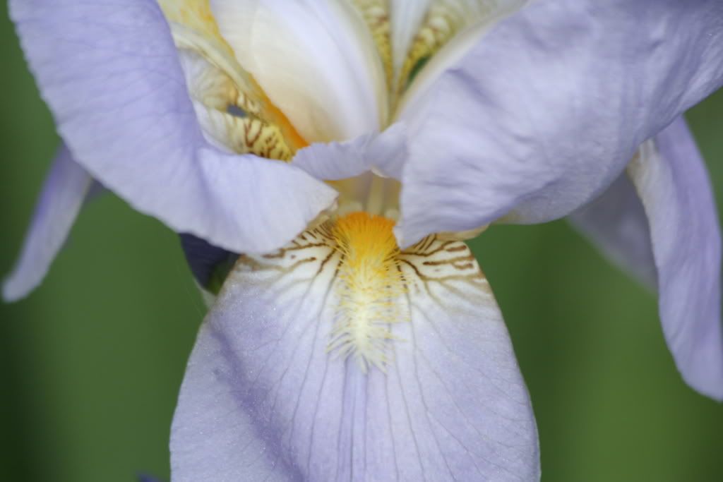 IMAGE: http://i23.photobucket.com/albums/b397/nan3182/Random/_MG_3860-1.jpg