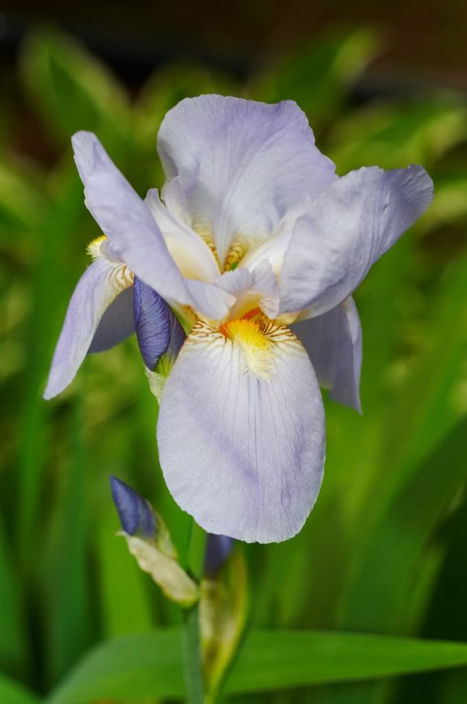 IMAGE: http://i23.photobucket.com/albums/b397/nan3182/Random/_MG_3876.jpg