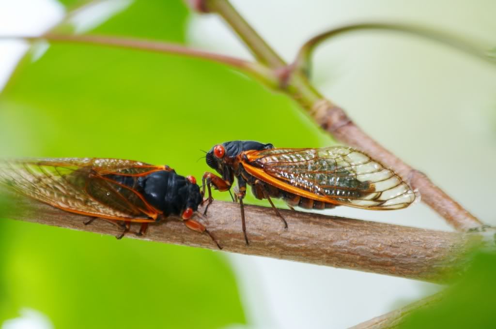 IMAGE: http://i23.photobucket.com/albums/b397/nan3182/Random/_MG_5022.jpg