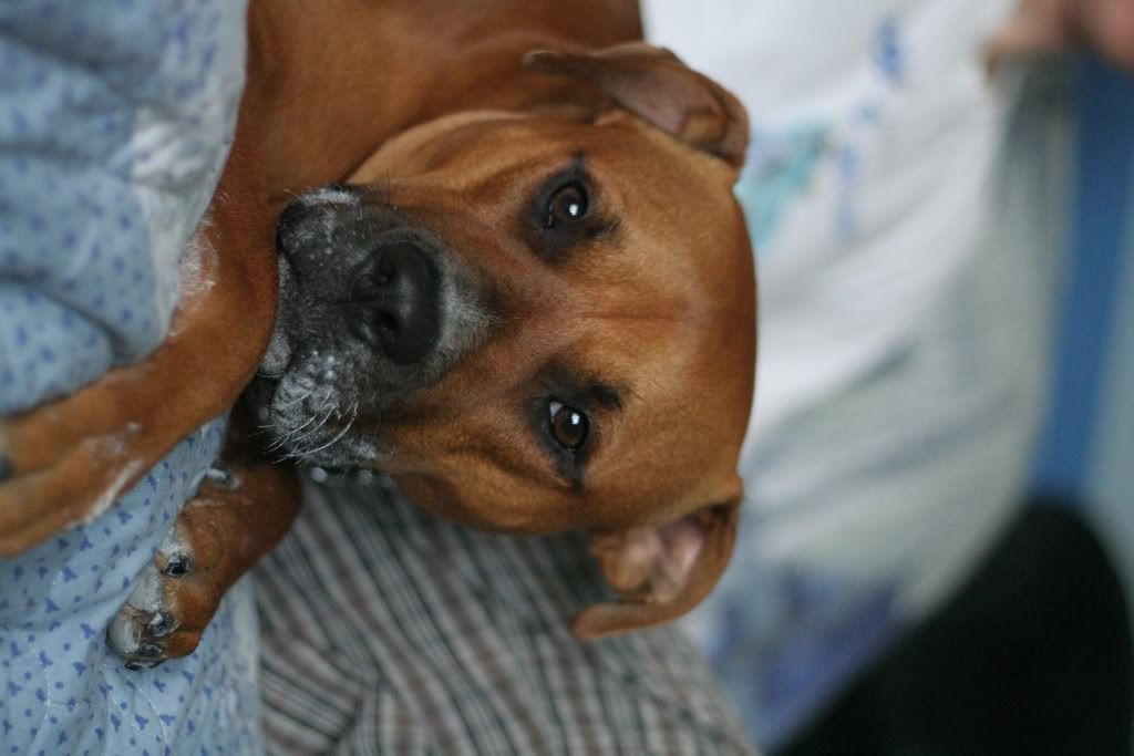 IMAGE: http://i23.photobucket.com/albums/b397/nan3182/Tucker/IMG_1832.jpg