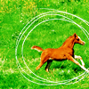 horseicon_010a.png Horse image by barstr7 horseicon_010a.png Horse image by barstr7