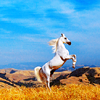 horseicon_015.png Horse image by barstr7 horseicon_015.png Horse image by barstr7