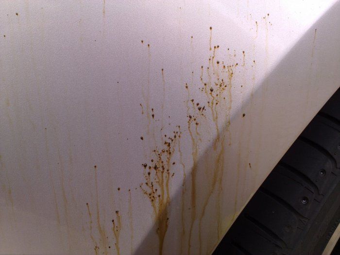 DPN Bentley Tar Removal Detailing World