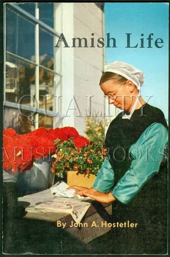 amish and john book amish and john book