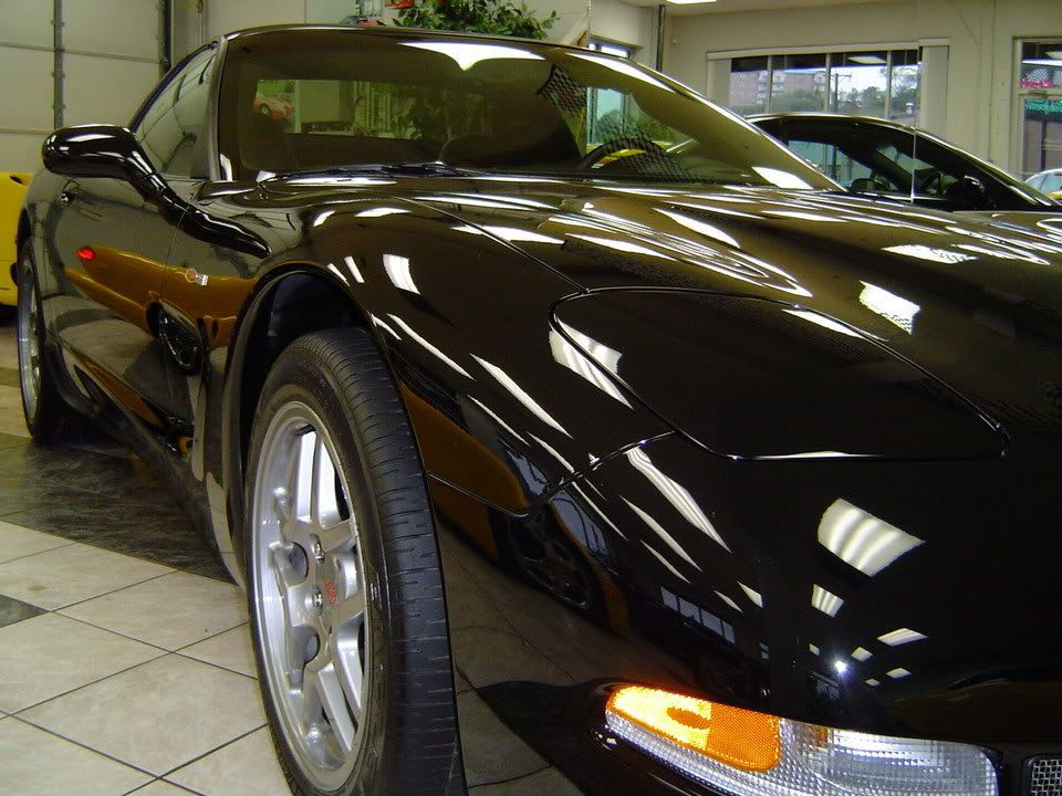 127ff02d.jpg