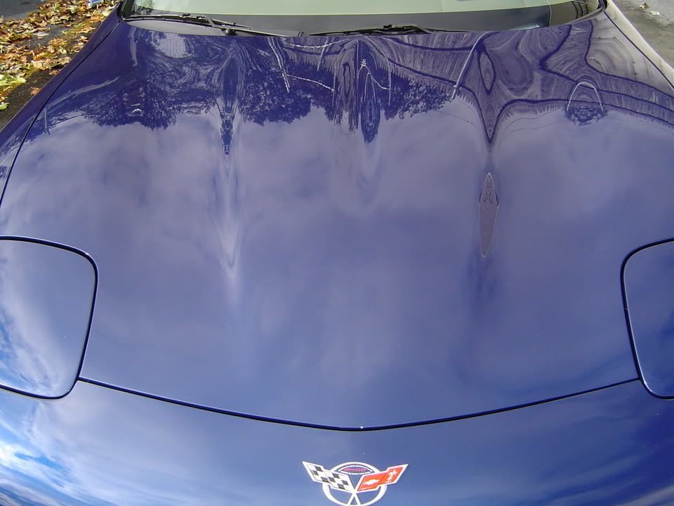 74143a45.jpg