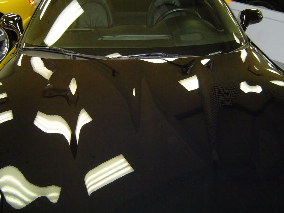 d2759176.jpg