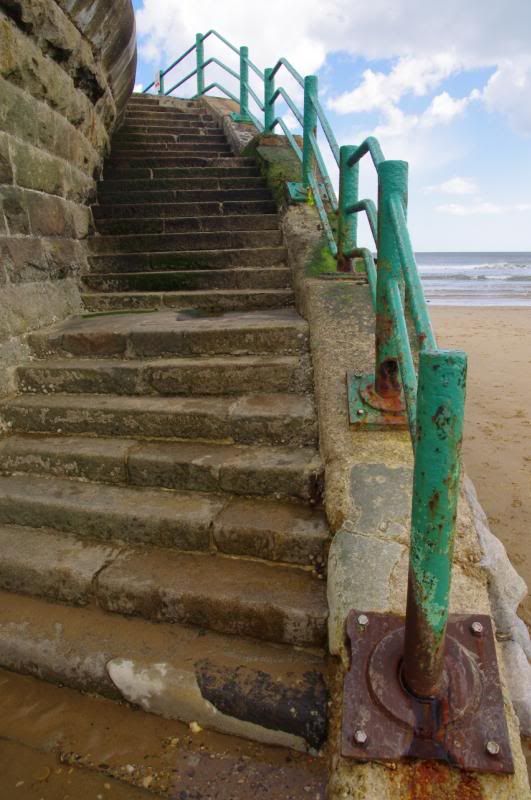 Cat and Dog Stairs Roker in Sunderland Pentax User