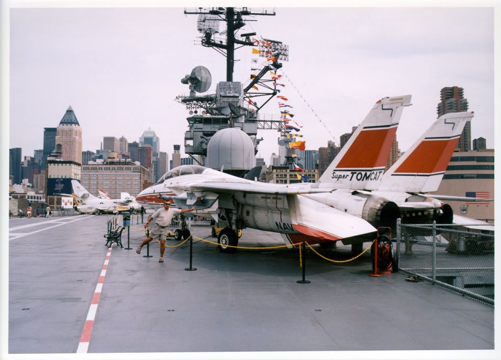 tomcat-rear.jpg