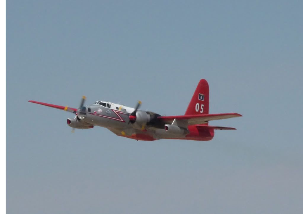 P1000456F.jpg