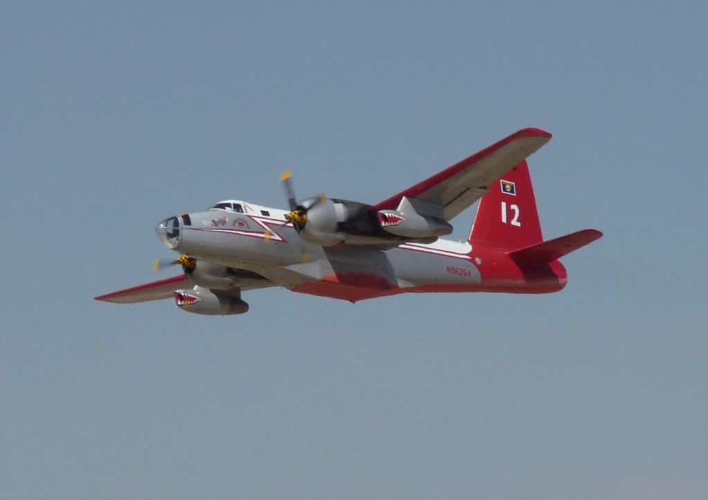 P1000459F.jpg