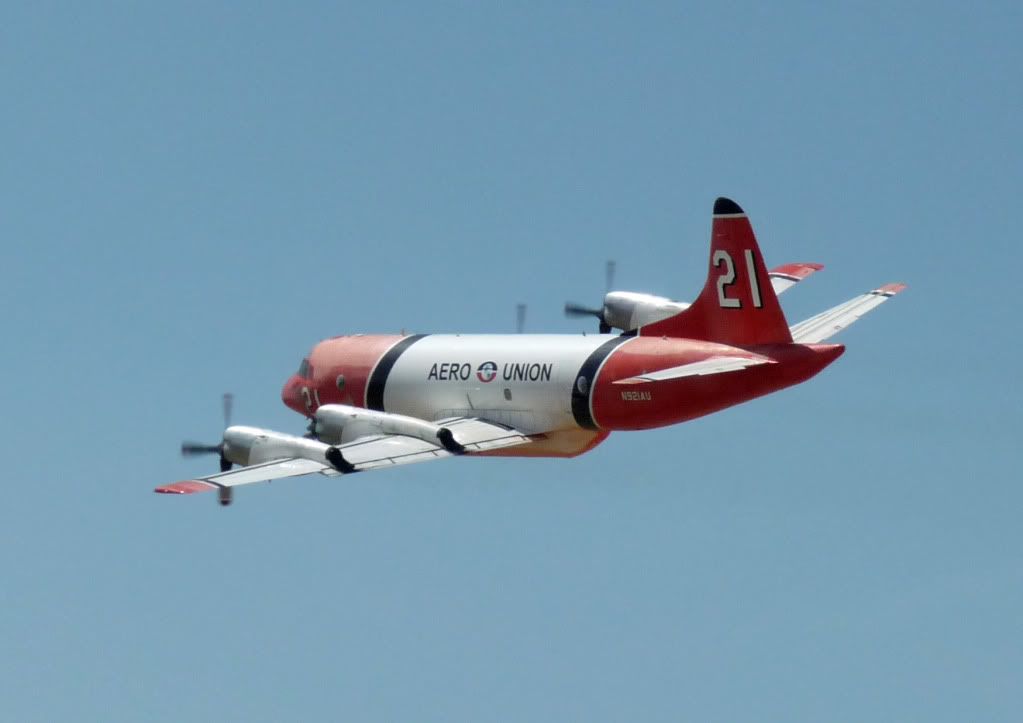 P1000463F.jpg