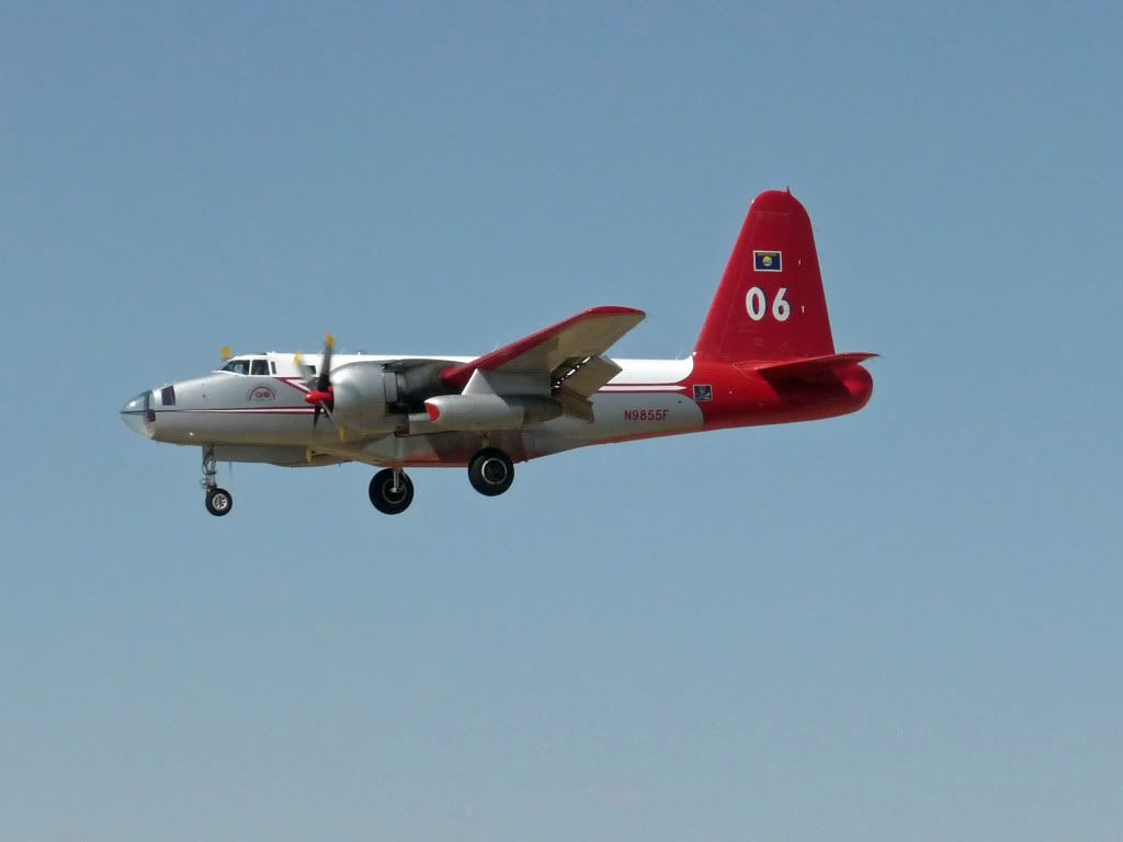 P1000467F.jpg