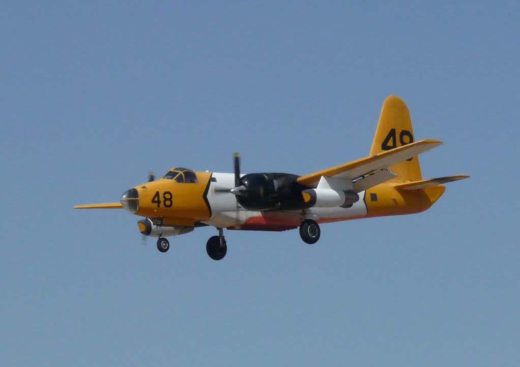 P1000468F.jpg