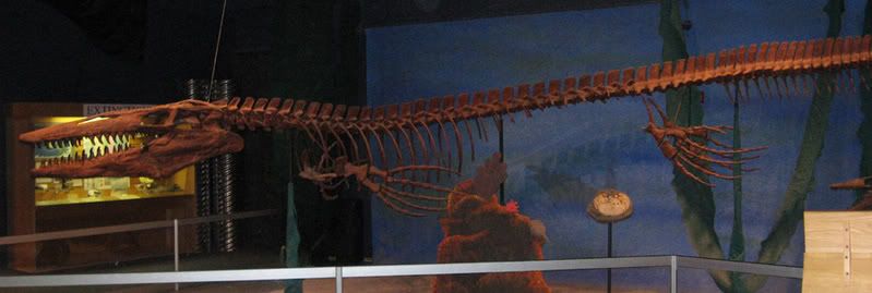 tylosaurus1.jpg