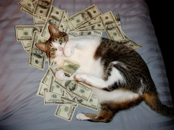 pussymoney_sm.jpg