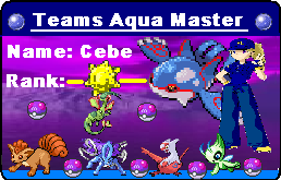 [PokeCommunity.com] T-Aqua and T-Magma T-Cards!!