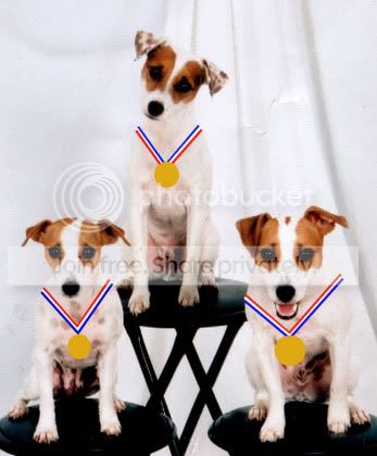 Image hosting by Photobucket