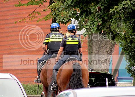 Politie te paard