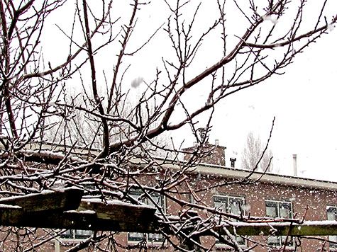 sneeuw