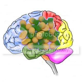PineappleBrain.jpg