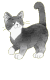 cats.gif