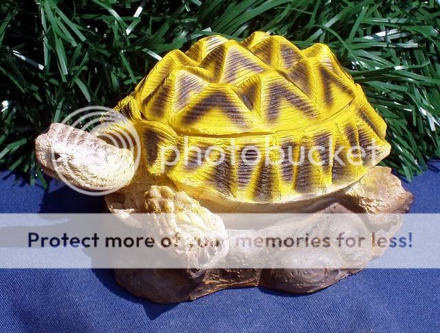 Turtle Trinket Surprise Jewelry Box Keepsake NEW #3  