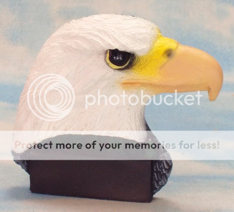 Eagle Bird refrigerator 3D Magnet Name Tag Retired NEW  