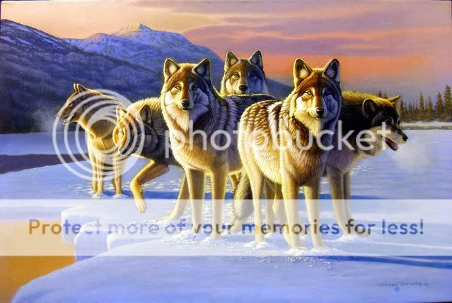 Original Painting Wolf Wolves Six Pack on Ice Dowdy  