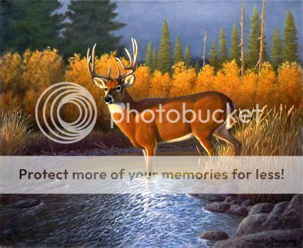 Conservation Ed Deer Buck Print Ducks Unlimited Dowdy 2