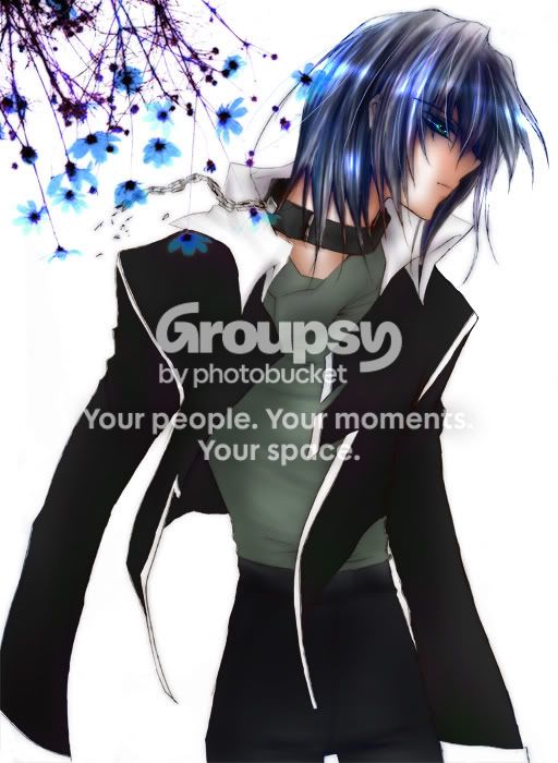 User Image