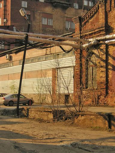 фото Д.Ромодина