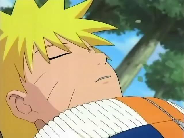 [PokeCommunity.com] The Sasuke & Naruto Fanclub
