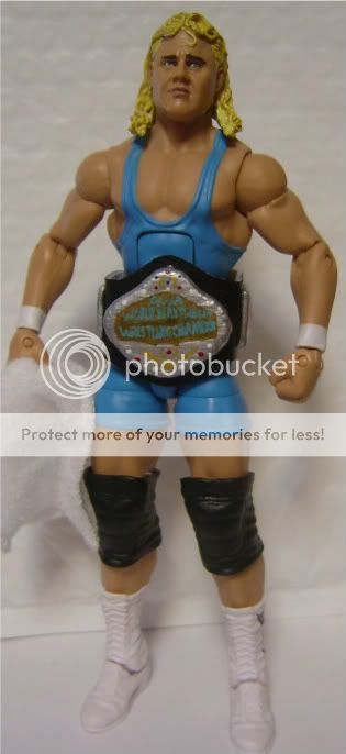 AWA World Heavyweight CUSTOM PAINTED action figure belt WWE LJN WWF 