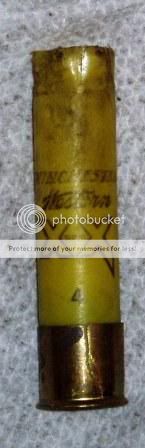 Split Head... | Shotgun Forum