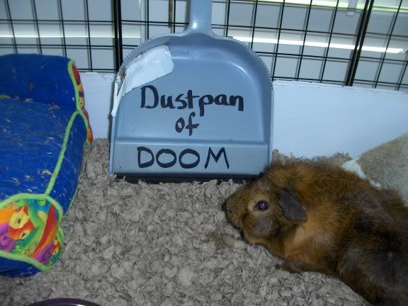 DustpanofDoom003.jpg