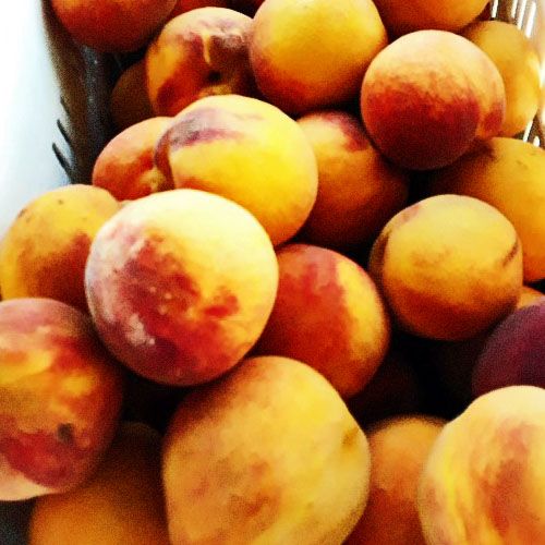 farmer's market peaches