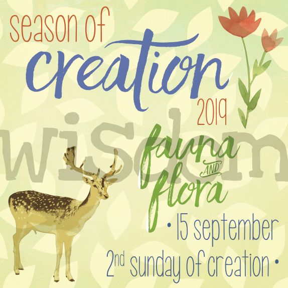 season of creation 2019 wisdom series fauna and flora sunday 02