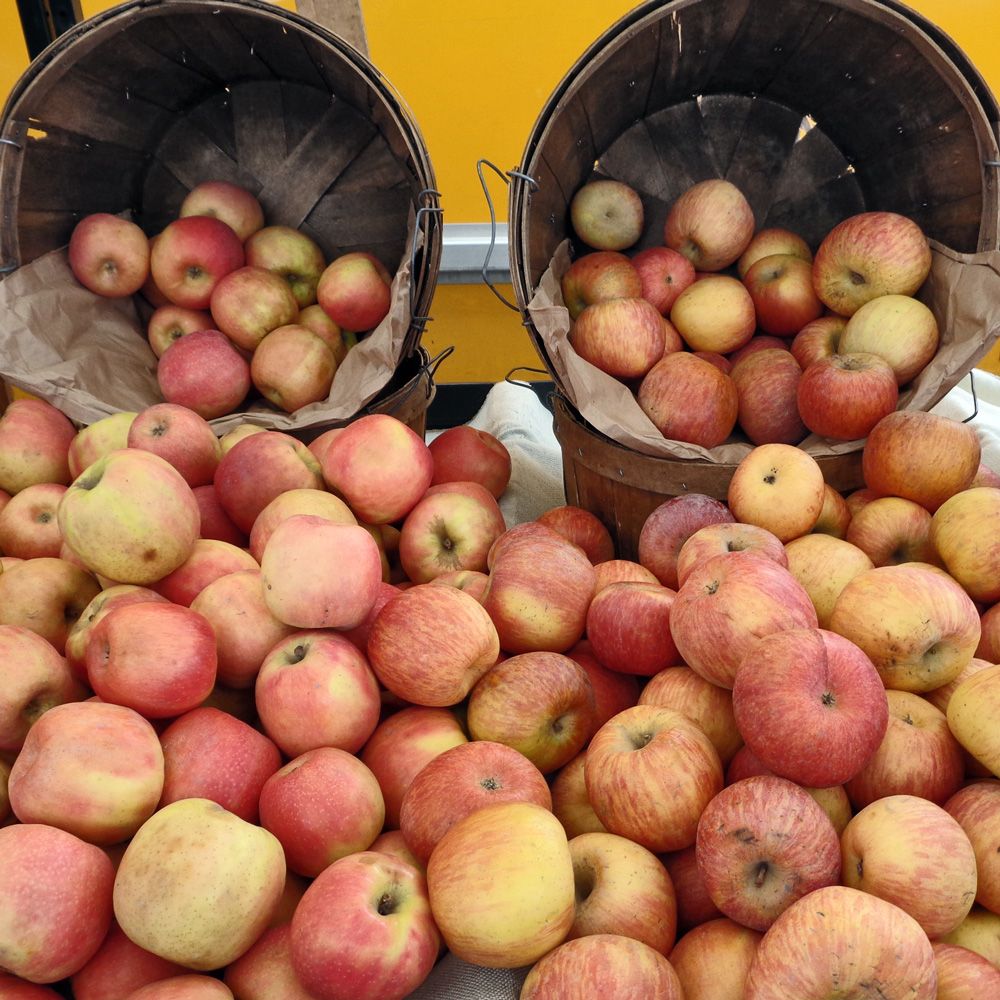 farmer's market spring apples