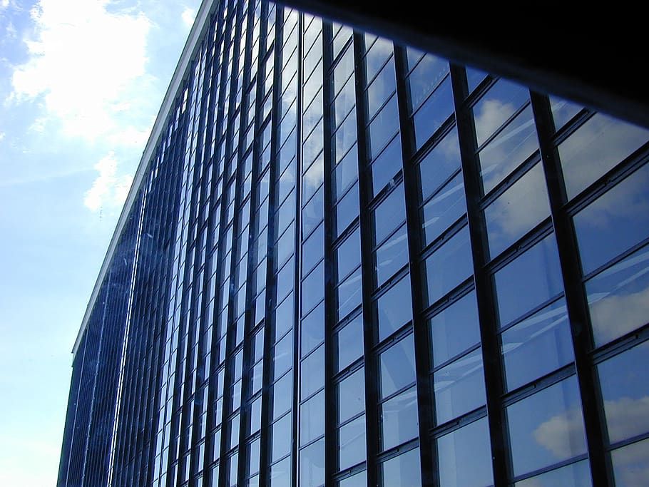 glass curtain wall building