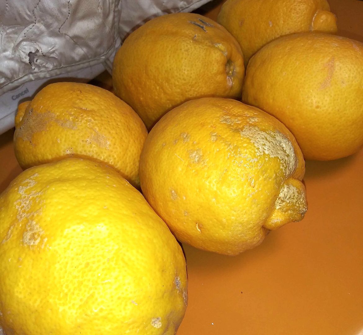 whole lemons on counter