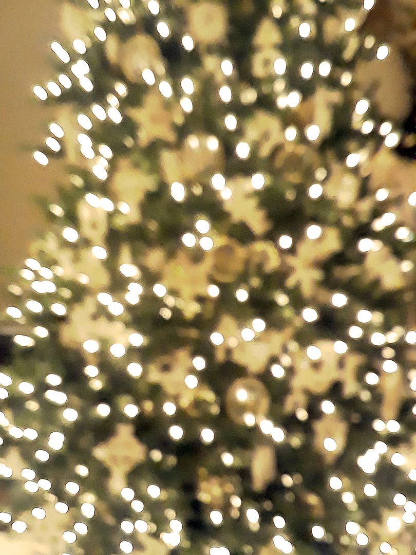 Christmas tree bokeh lights 2019