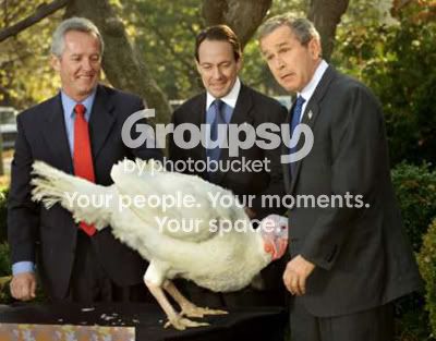 822-bush-turkey.jpg